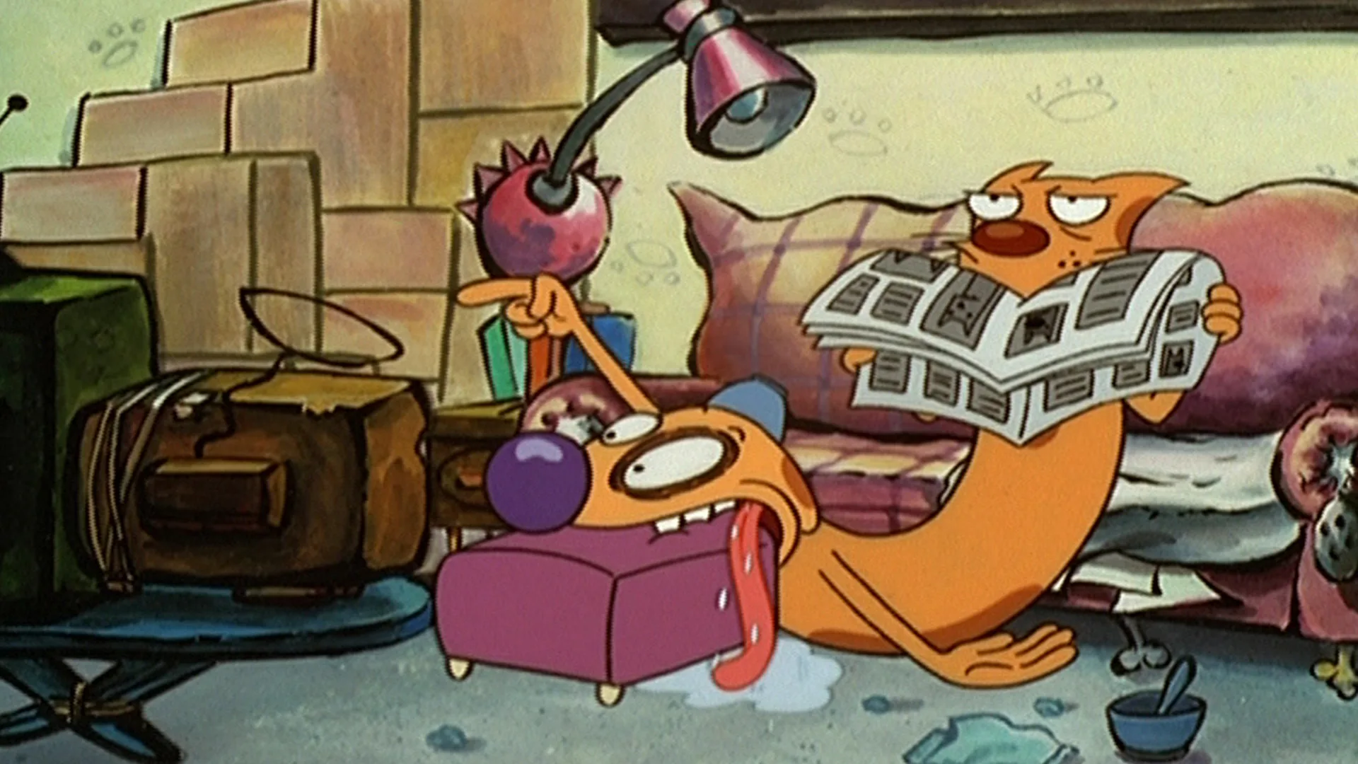 CatDog causing chaos in their living room